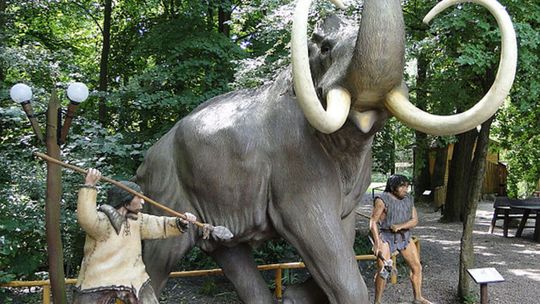 W Radomiu powstanie pomnik mamuta?