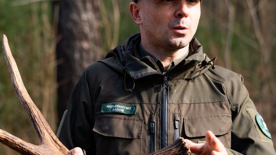 Akcja "Wieniec" w Nadleśnictwie Radom