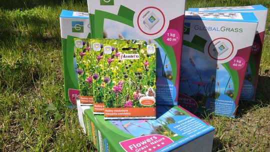 W Skaryszewie chcą tworzyć łąki kwietne