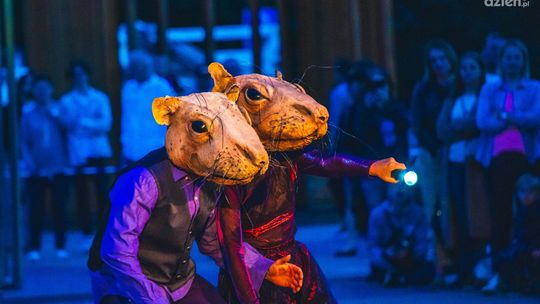 Wakacje z kulturą. Co nas czeka?