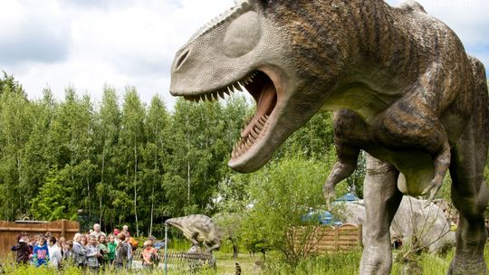 Wakacyjna promocja w Bałtowie!