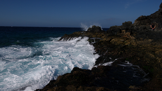 Wakacyjna wystawa Wojciecha Śmietanki