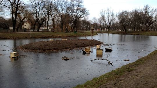 Wandale zniszczyli kacze budki w Starym Ogrodzie