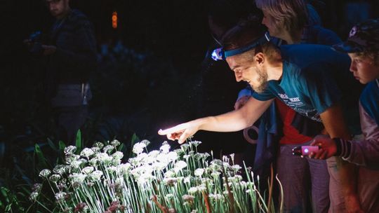 Warsztaty kompostowania z MOK Amfiteatr