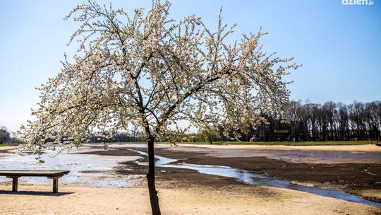 Wasze stawy, nasza zapora