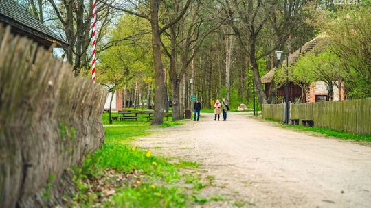 Weekendowe atrakcje w Radomiu i regionie