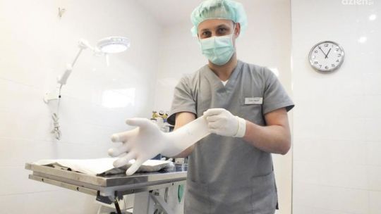 Weterynarz w rytmie disco