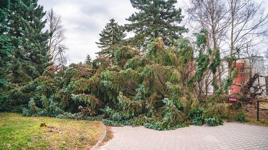 Wiatr do 90 km/h, grad i deszcz! RCB wysyła alerty