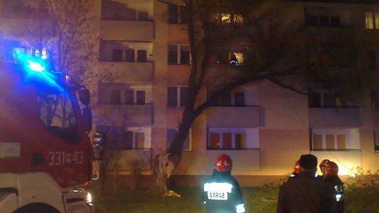 Wichura przewróciła potężne drzewo na blok przy ul. Sowińskiego