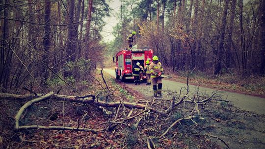 Wichury w regionie radomskim. Połamane drzewa, uszkodzone auta i linie