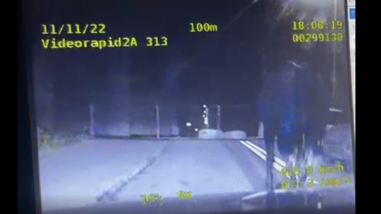 [WIDEO] Koń biegał ulicami Radomia. Uciekł z parady 