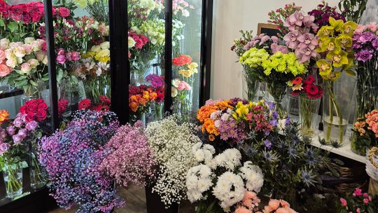 Więcej niż kwiaty. Odkryj świat pełen pasji w Kwiaciarence