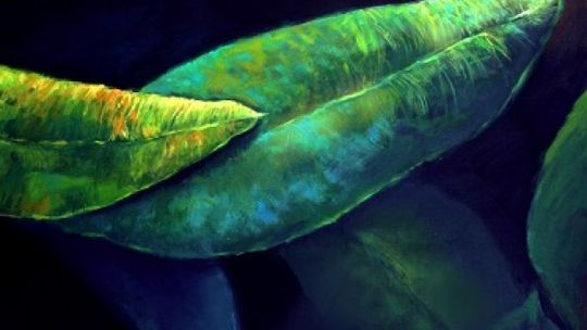 "Wiedza szansą na lepszy start..."