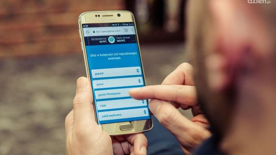 Wielka Radomska Bitwa Quizo(wa)