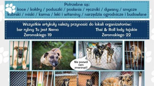 Wielka zbiórka na rzecz schroniska