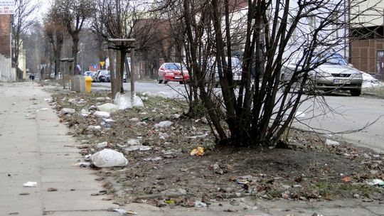 Wielki bałagan po zimie. Miejskie służby zapowiadają porządki