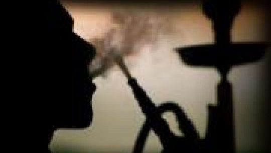 Wielkie Palenie Shishy