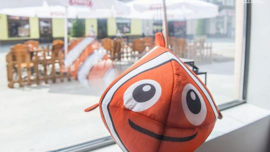 Wiemy, gdzie jest Nemo!