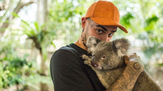 Wiemy kiedy Quebonafide zagra w Radomiu!