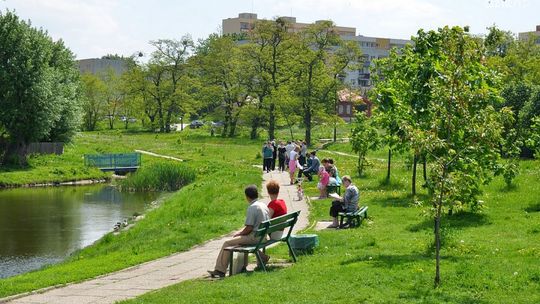 Wiemy, kto zaprojektuje park na Ustroniu