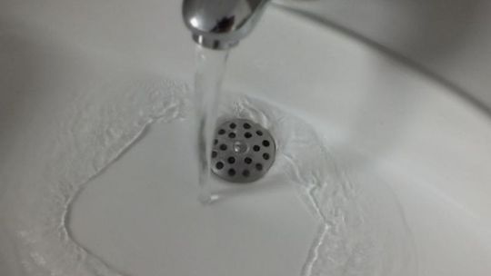 Wierzbica. Bakteria coli w wodzie