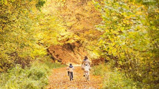 Wiosna i jesień na rowerze - jak prawidłowo ubrać się na rower w tym okresie