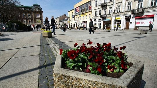 Wiosna idzie! ZUK ma pełne ręce roboty