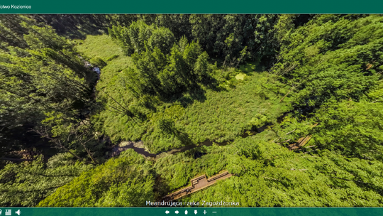 Wirtualny spacer po lesie