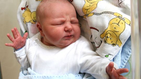 Witajcie wśród nas!