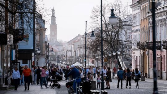 Witkowski czy Standowicz? Radomianie odpowiadają