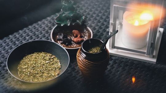 Właściwości yerba mate