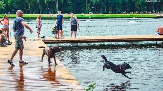 Woda na Borkach zdatna do kąpieli