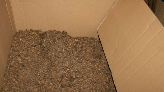 Wolanów. Zabezpieczyli 60 kg tytoniu