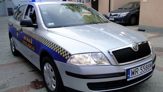 Wpadli kolekcjonerzy znaczków samochodowych