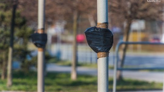 Wracają włączniki na słupkach sygnalizacji świetlnej