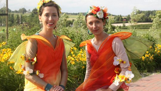 Wróżki Smużki potrzebują Twojej pomocy!