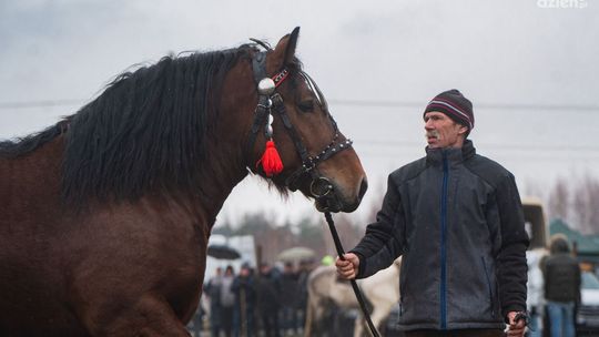 Wstępy 2024. Zobaczcie wideo i zdjęcia