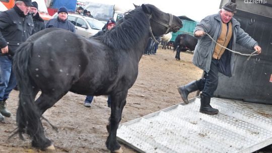 Wstępy w Skaryszewie już za tydzień! Przyjadą obrońcy zwierząt