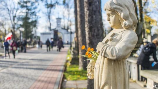 Wszystkich Świętych. Organizacja ruchu w rejonie cmentarza na Borkach 