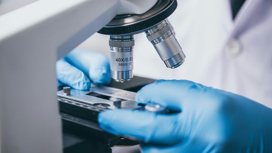 Wszystko o infekcjach wirusowych i bakteryjnych – jak je rozróżnić?