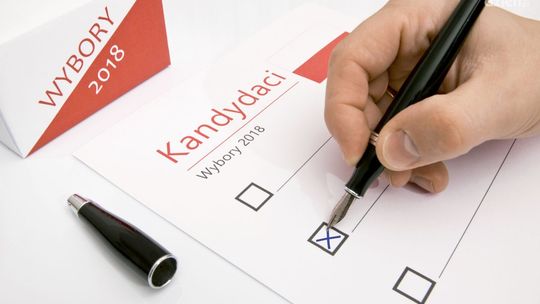 Wybory samorządowe. Jak głosować?