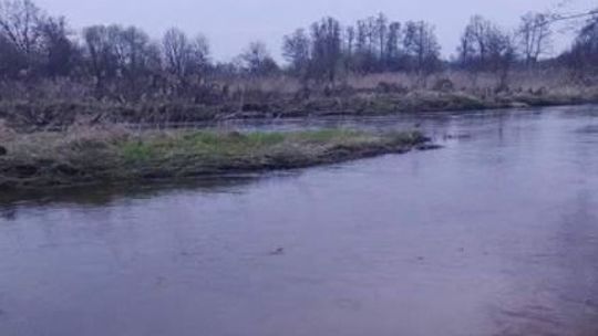 Wyniki sekcji zwłok ciała wyłowionego z Pilicy