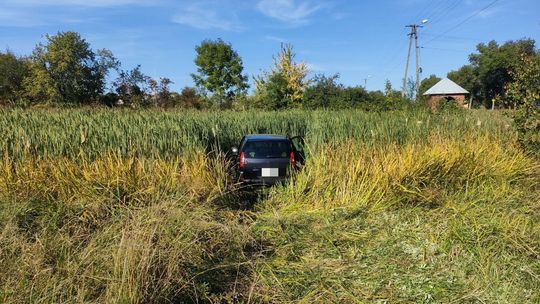 Wypadek w Dobrucie. Auto wpadło do sadzawki