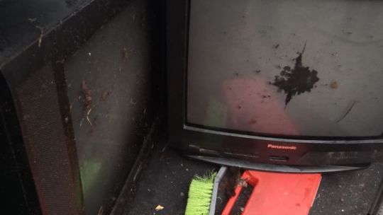 Wyrzucał śmieci do lasu. Został ukarany