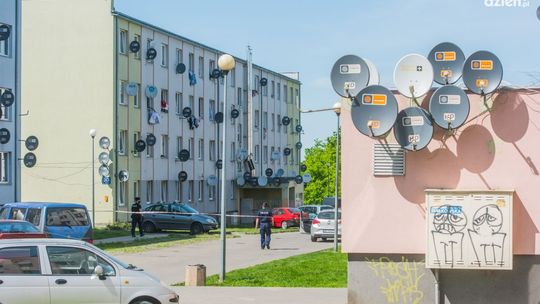 Wyrzucił psa przez okno. Areszt i zarzuty dla 68-latka