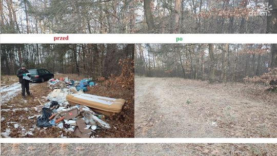 Wyrzucił śmieci do lasu, posprzątał na własny koszt
