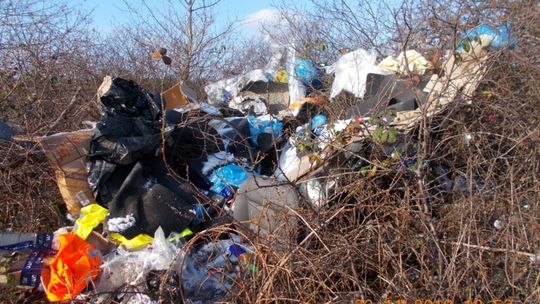 Wyrzucił śmieci i wpadł