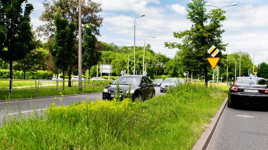 Wysoka trawa zmorą kierowców. Koszenia już trwają, choć nie wszędzie