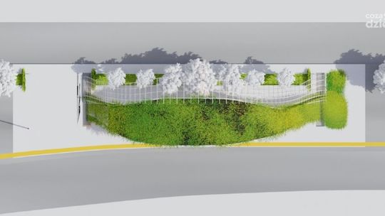 Wyspa ciepła. Petycja u prezydenta