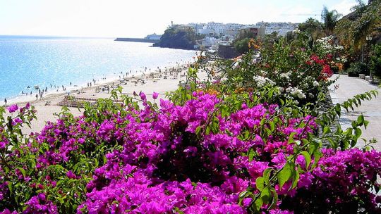 Wyspy Kanaryjskie - Fuerteventura